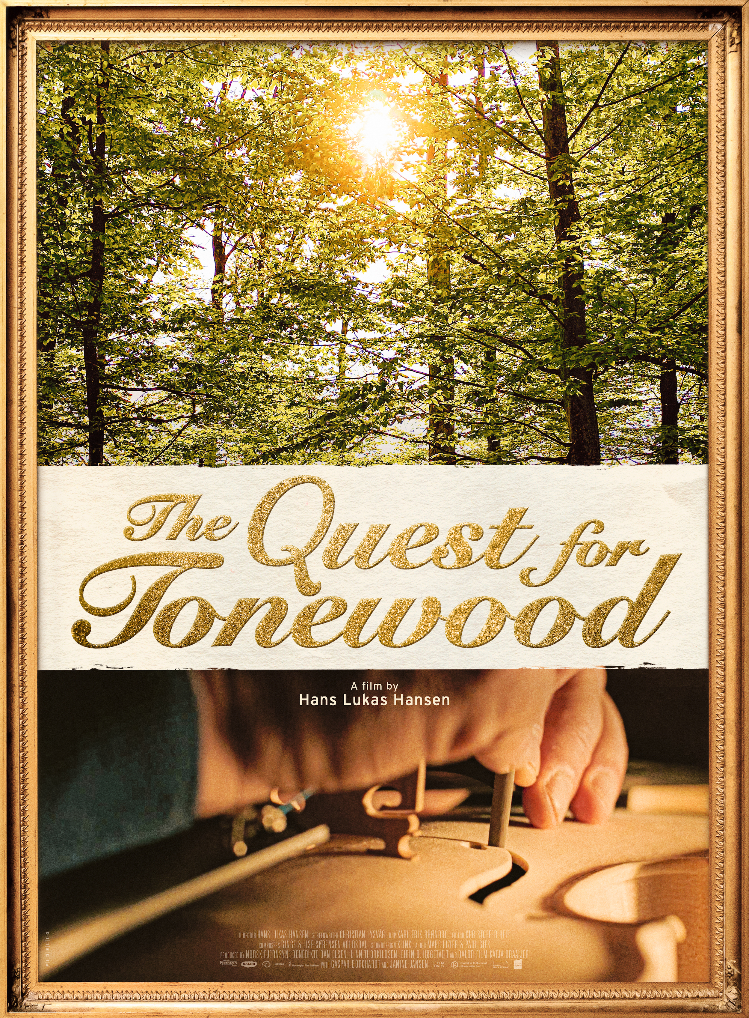 The quest for Tonewood